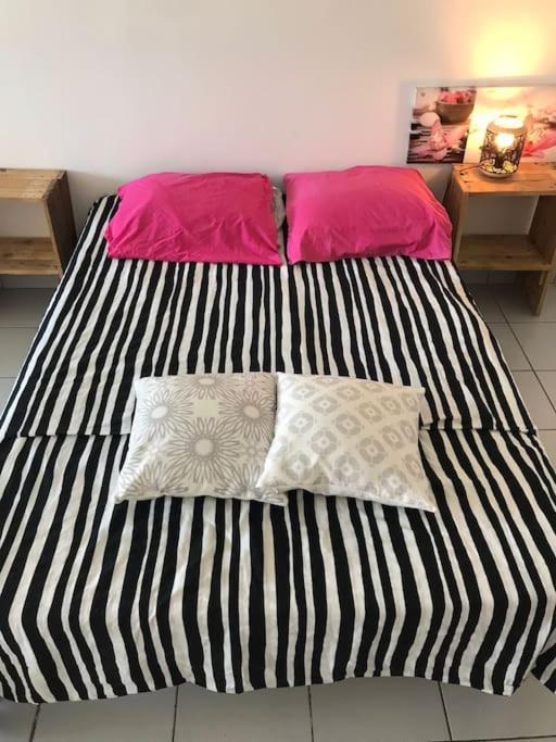 Petit Prix Et Grand Confort A Saint Gilles Les Bains 외부 사진